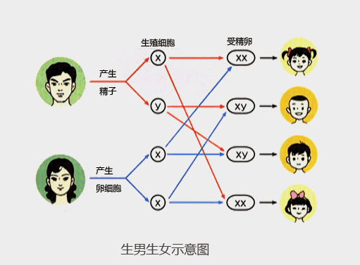 宋祖德喊话张杰做亲子鉴定, 理由只有一个, 谢娜勃然大怒