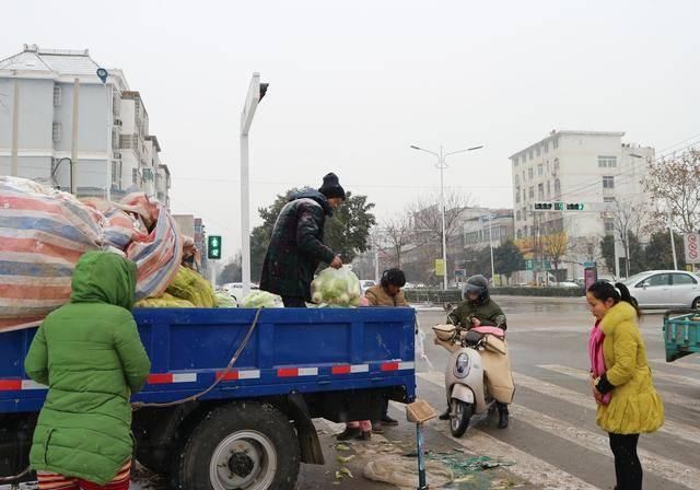  韩大叔|农民种植一种蔬菜，10亩收入30000元，期盼春节前卖出去