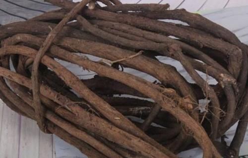 农村生长的一种野草，被发现可以活血通络，药用价值极高