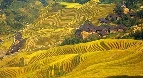 中国最美的30个地方（完整版）终于找齐了！第一居然是…