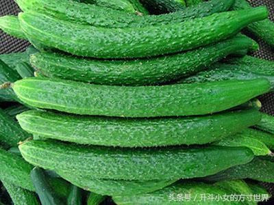 谣言吓死人！黄瓜中有弓形虫你信了吗？