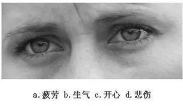 看眼神,猜情绪,测情商,给自己的情商定个级,