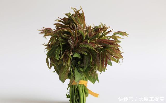  【春天】春天来了，院子里种一棵这样的树，漂亮还可以美容