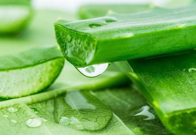 黑头痘痘多，脸上多半螨虫暗潮蠕动，3招除螨，祛痘变得很简单