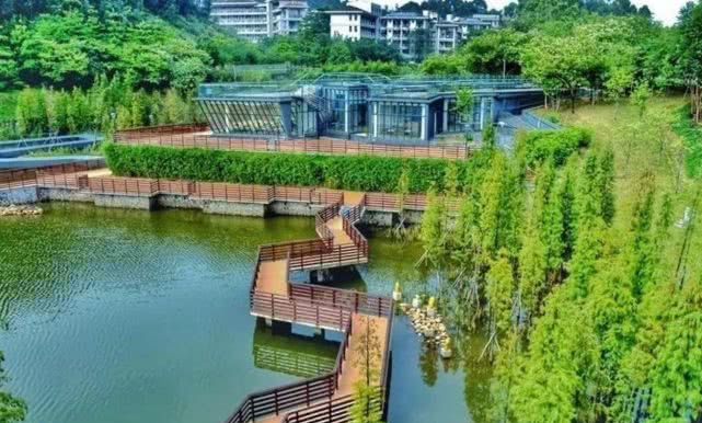 我国“最牛”省份，经济实力领先176个国家，你知道哪个省份吗