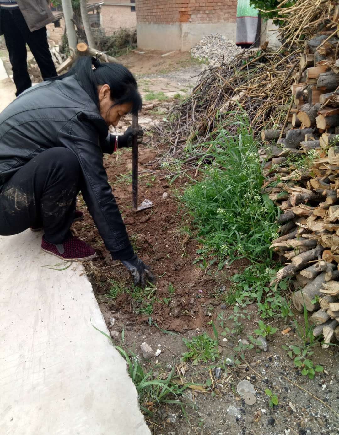 农民工回家收拾门前杂草，在外辛苦打工半年一场空