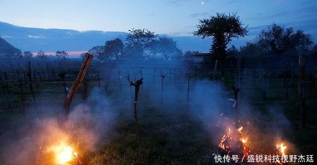  [秸秆]黑龙江9月秋收开始秸秆再次成难题，不让焚烧秸秆农民犯了