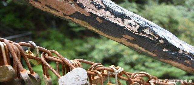 比黄山还壮观的山，门票很便宜，为何爬到半路大多数人都放弃了