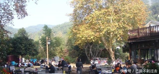 农民“苦心”经营的农家乐，去的人寥寥无几，为啥城市人这样说