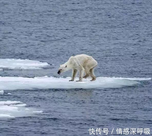 罕见！乌鲁木齐下黄雪这是来自大自然的警告！
