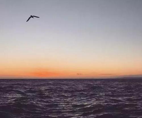 太实用了，用手机拍出好片的10个绝招！