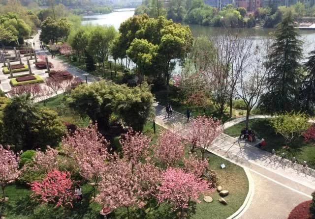 南京最大的桃花岛:一万亩桃花盛开,拥有四十多个品种!【2020热门旅游景点】