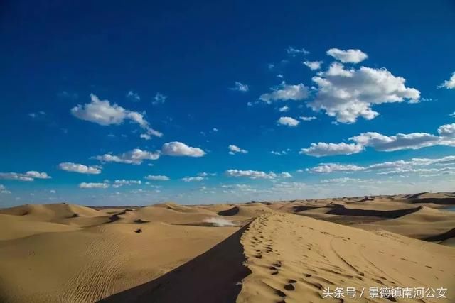 额济纳：中国最美的秋天！