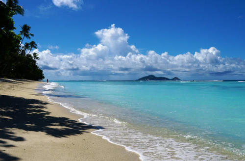 对中国最友善的国家，对中国免签禁止宰中国游客，为何很少人去？