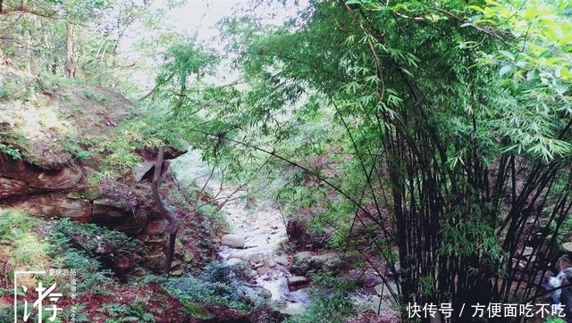 只知道重庆南山“一棵树”？其实，这里还有“壹碗水”