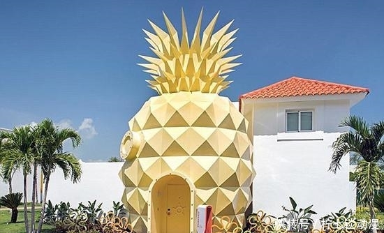 与海绵宝宝亲密接触的梦想可以成真了!