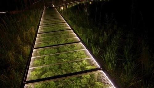 『地面』不浇水泥地了!在地上铺层金属网,吃菜不用买,铺路还不用多花钱
