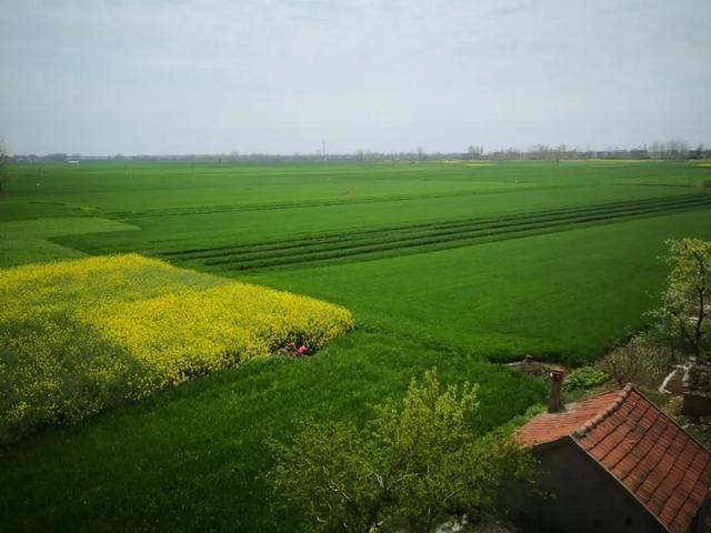  利用试点示■刚刚批复！安徽18个县试点盘活农村闲置住宅（附名单）