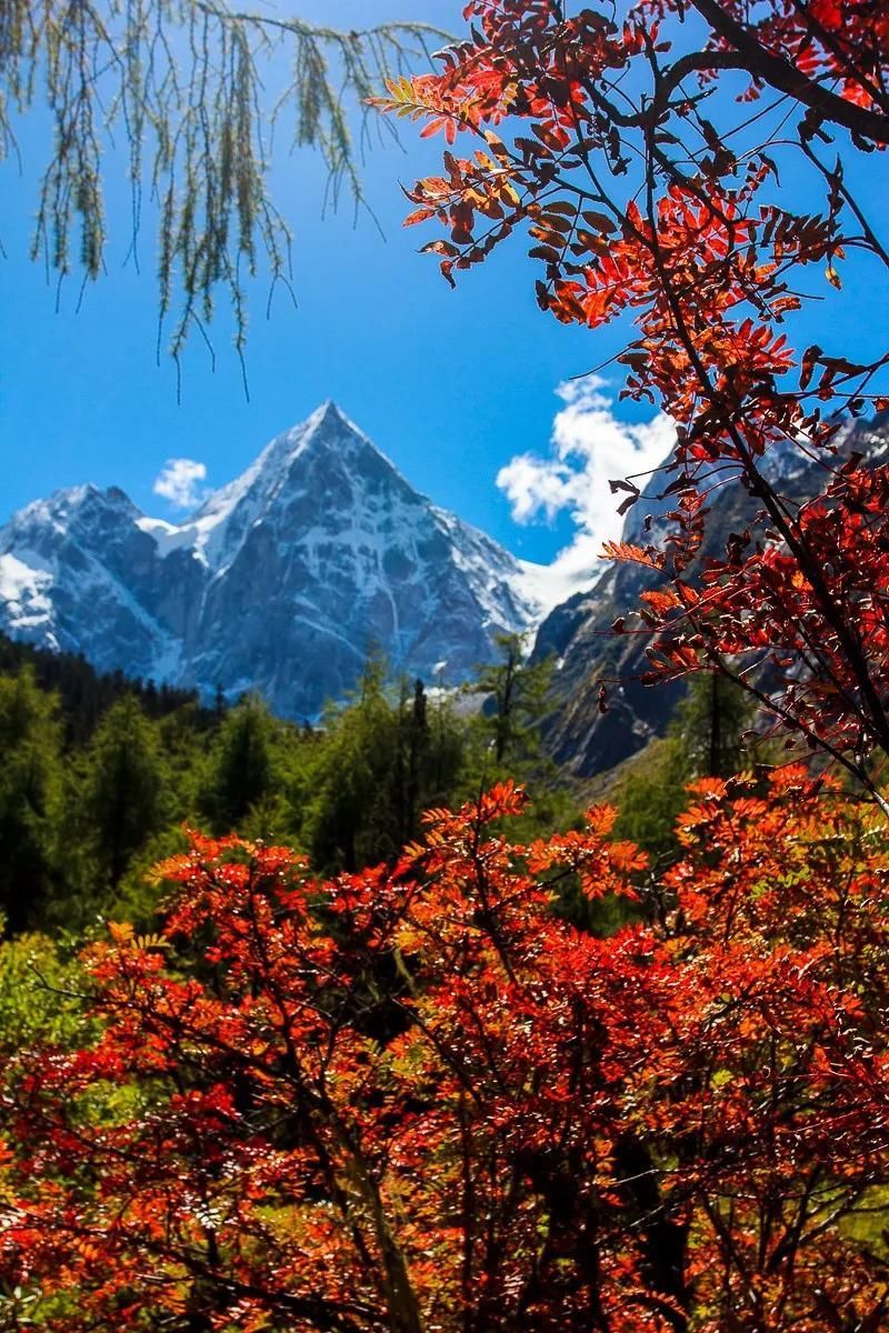 彩林之秋毕棚沟 | 赏秋要趁早!9月份就可以来这里赏红叶彩林了