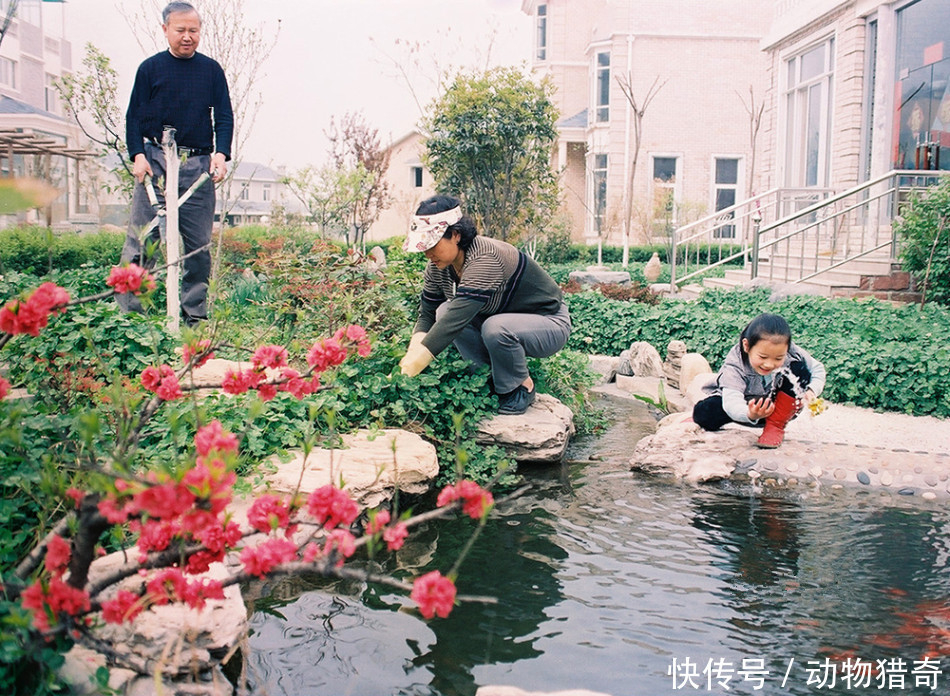  「农民」直击：他们在别墅里享受“隐密”的高质生活，琐事由周