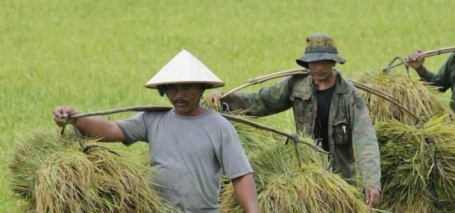  【越南】越南人口近亿，国土却仅有中国的三十分之一，为何还有