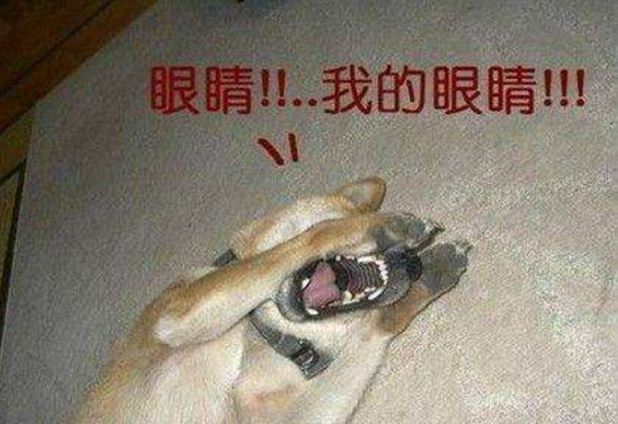 200斤女生怒学化妆, 妆前的她又黑又丑, 妆后的她又白又美!