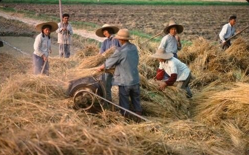  土地确权@农村两个证件要及时办，未来价值或将达几十万