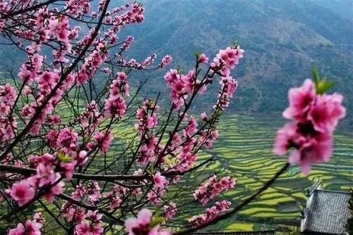 『踏青』踏青赏花照这样拍,还愁刷不爆你的朋友圈?