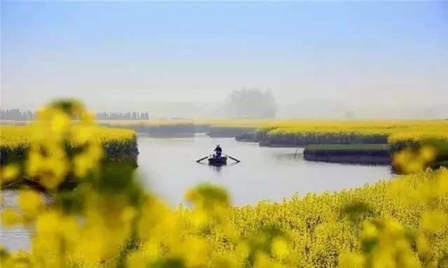 三月的婺源,惊蛰到,春光俏,踏春赏花正当时