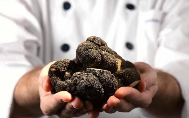  [被誉为]被誉为“菌中钻石”，过去农民用来喂猪，如今千元一斤