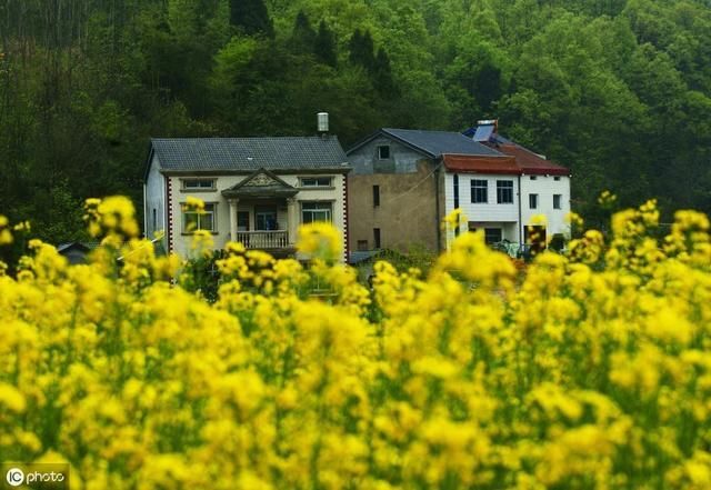  城市居民：为什么农村实行一户一宅，城市就可以一户多宅？看看