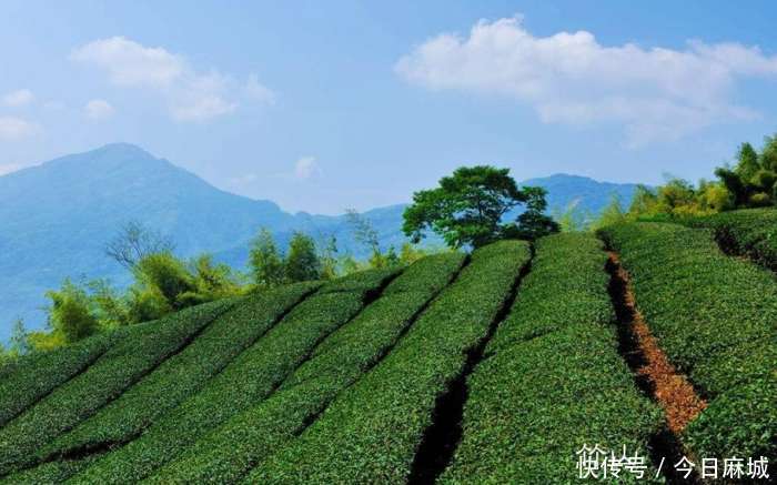 湖北9个深度贫困县,这个市独占5个,快看看有没