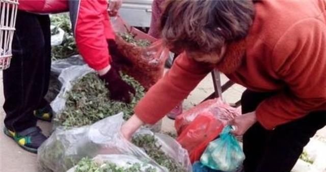  「城市里」不愿打工，不如选择回农村创业，这几个创业点子，“