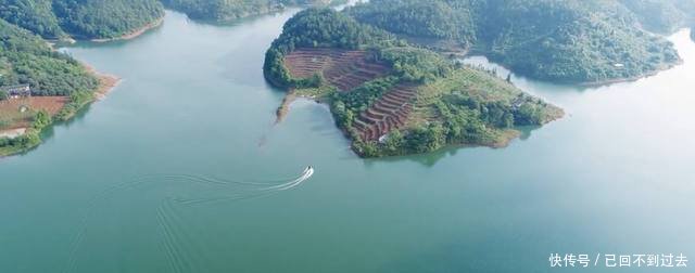 上世纪，水库放入两条小鱼，竟是淡水之王幼鱼，现在失控成灾