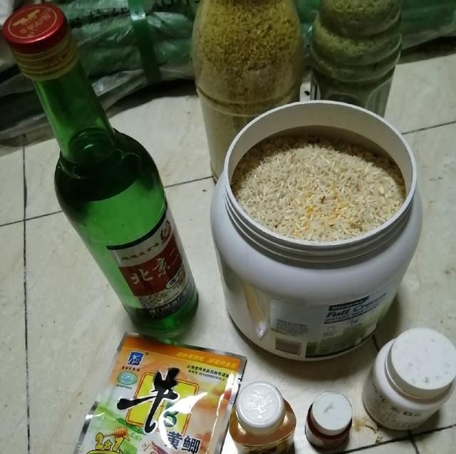  自制：「自制鱼饵」午夜无法入眠，心血来潮把窝做