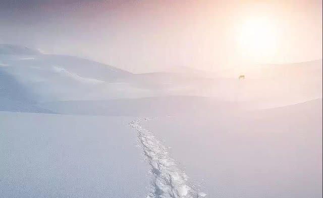 洛阳白云山首场降雪，景色美如仙境