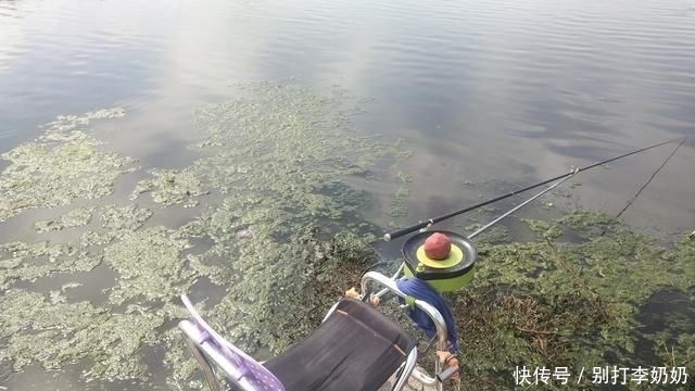  『违法』钓鱼遇到这种事，是谁也会盘他俩！不只丢钓鱼人的脸，他还违法