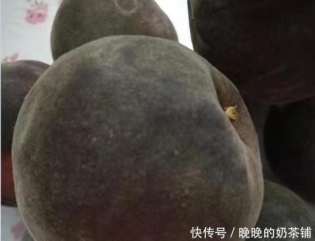  『果实』难得一见的瓜果，小果苗埋土里就可长果实，主要还好吃