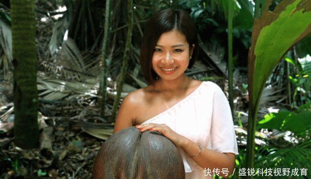 美女国外旅游，当地人拿出一种“圣果”，接下来瞬间尴尬