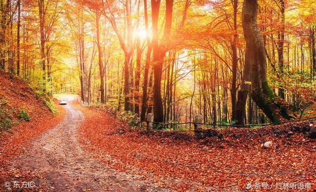 遇见秋，犹如故人归，愿时光多一些明媚，岁月静好，你亦无恙！