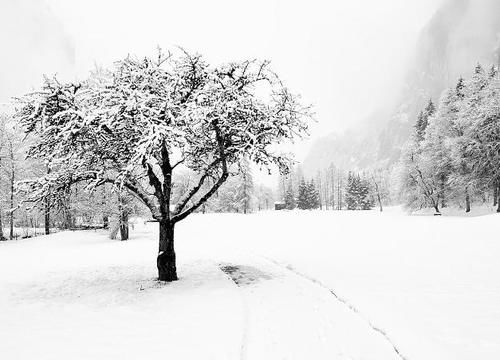  冻死■“三九四九冻死老狗”，哪个“九”最冷？春节冷不冷？答