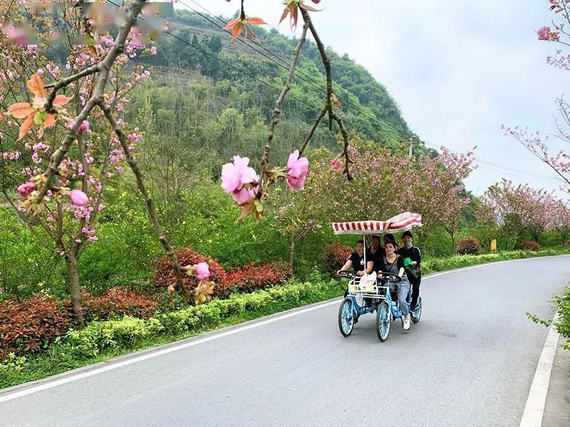  『樱花』赏花季 | 春色满园关不住，十里樱花别样红～约吗？