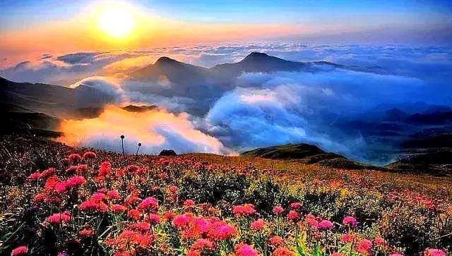 再过几天，中国这个地方又要美哭全国了，即将变身绝美的天上花海