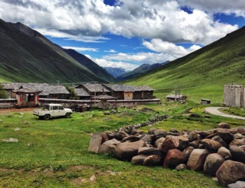 实拍四川莫斯卡：被称为中国最后的秘境村落，人与动物和谐相处