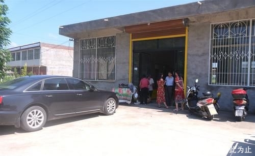  「亩葡萄」城里生意难做，农村人回老家种葡萄，当初信心满满，