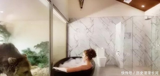 世界上“最大胆”的酒店:可以和动物结伴睡觉,还能近距离观看!