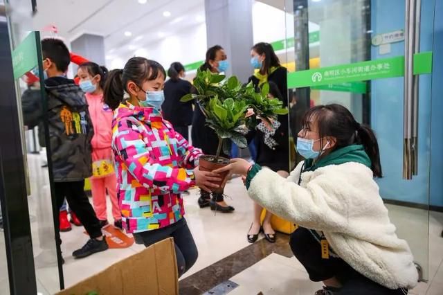  [种子]做DIY环保花盆，把绿植带回家，把环保的种子在心里种下