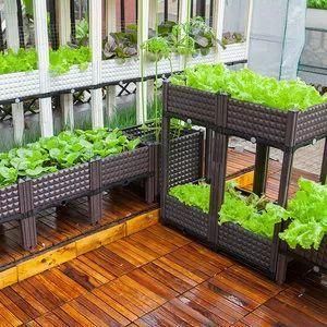  「蔬菜」明星都开始在家种菜了，你心动了吗？