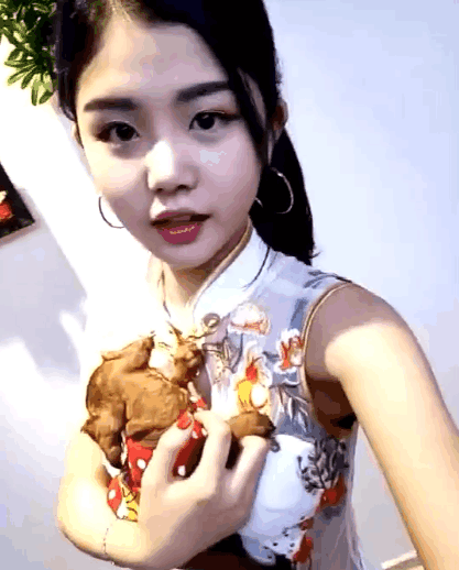 女子穿旗袍参加活动, 小狗趴着的位置亮了, 网友: 放开那个女孩