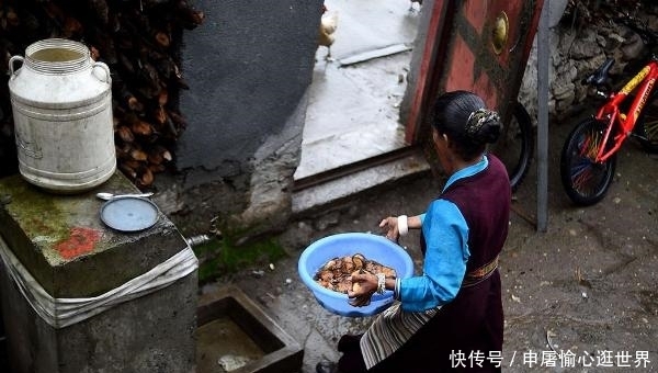 这个民族曾入侵中国，却在流浪近百年后，成为中国新民族？